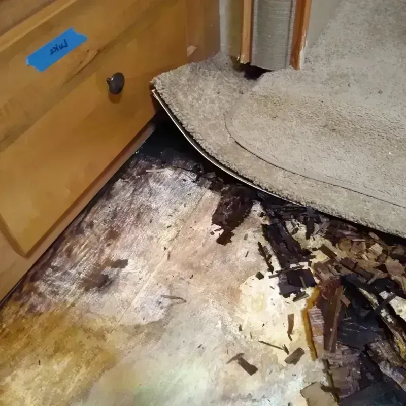 Best Wood Floor Water Damage Service in Wright City, MO